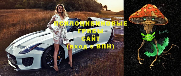 mix Магас